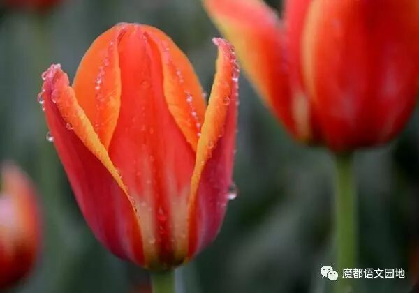 文言文中诣的翻译_文言文中的诣什么意思_诣在文言文中的意思