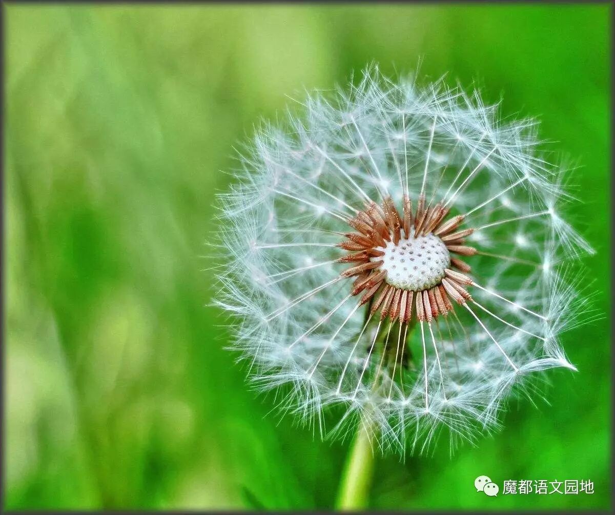 文言文中的诣什么意思_文言文中诣的翻译_诣在文言文中的意思