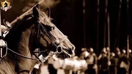 揭秘战马的故事