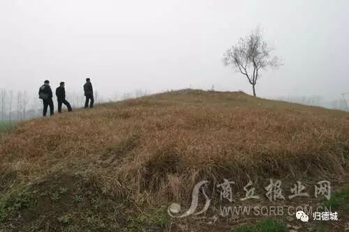 �ݳ�����������ϰ������й���ҵ��ע��ʮ�����