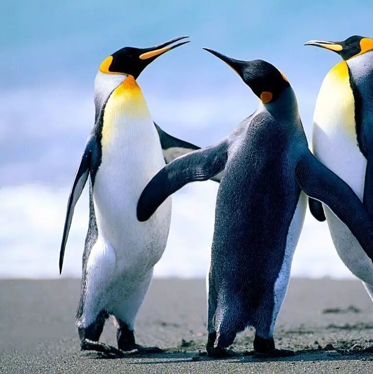 杨钰莹谈和赖家成员交往的细节