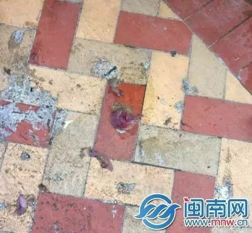 要脸不?泉州女子怀孕8个月竟干这事;晋江一男婴被弃民政局门口;石狮一对男女半夜捞地沟油?南安男子娱乐场所喝麻了结果惨了…-怀孕期