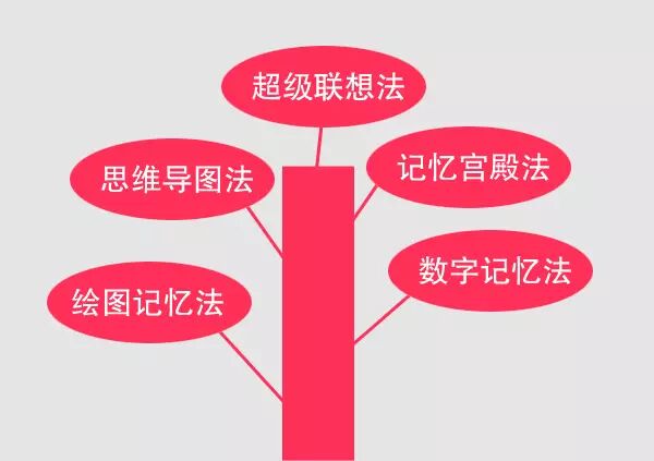 她从前台服务员逆袭成过亿身家CEO,就凭这一点!