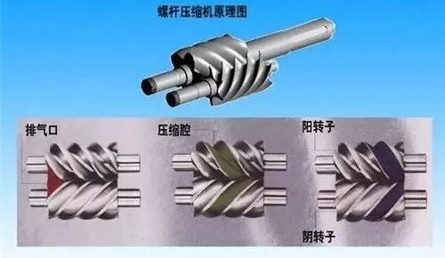 【空压机知识】螺杆式空气压缩机的工作原理