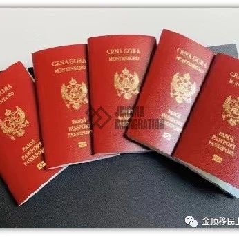 【金顶移民】黑山护照成功案例来袭！
