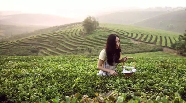 从民谣女神到茶山菇凉,曹方把生活过成了诗