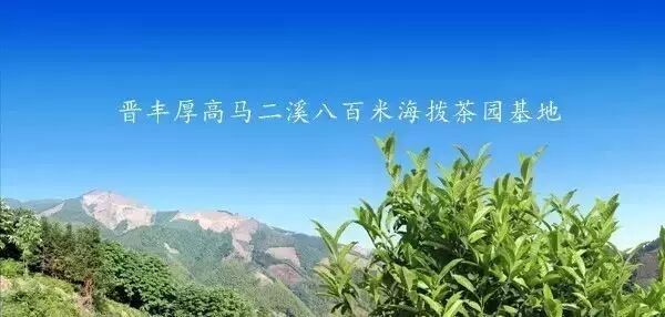 春天要多喝黑茶，好处多多~