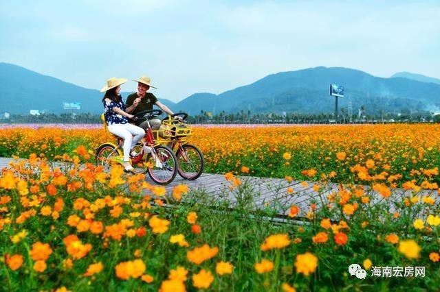 地址: 三亚吉阳区临春社区狗岭路红沙隧道处.