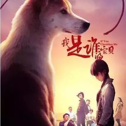 [2017][大陆][犯罪][我是谁的宝贝][8月18日上映群星合拍公益爱狗电影]