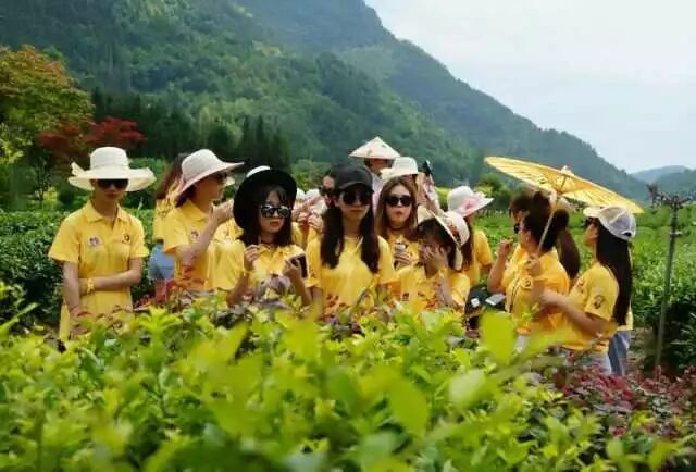 30位女神聚集在华莱，竟是为了这个全域旅游真人秀！