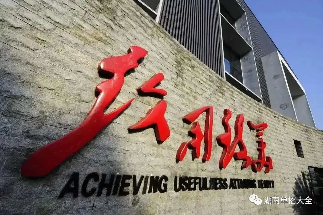 湖南工艺美术职业学院2020单招简章