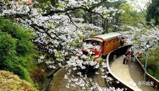 台湾惊喜合唱团北京快闪 - NY6536群博客 - 南洋65初三(6)的群博客 台湾惊喜合唱团北京快闪 - NY6536群博客 - 南洋65初三(6)的群博客