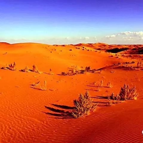 《陈明户外旅游》库布其沙漠春季大型穿沙活动通知
