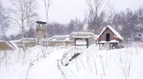 大雪——古驿无人雪满庭,有客冒雪来自北.