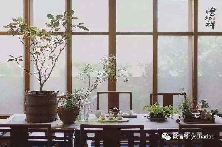 茶喝慢一点,人做笨一点