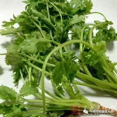 溪湖羊肉爐宅配新鮮羊肉