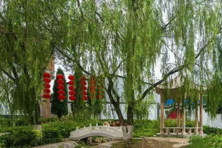 在石家庄市区西北75公里的太行山中,行唐县龙兴庄村就是这样一个村庄.图片