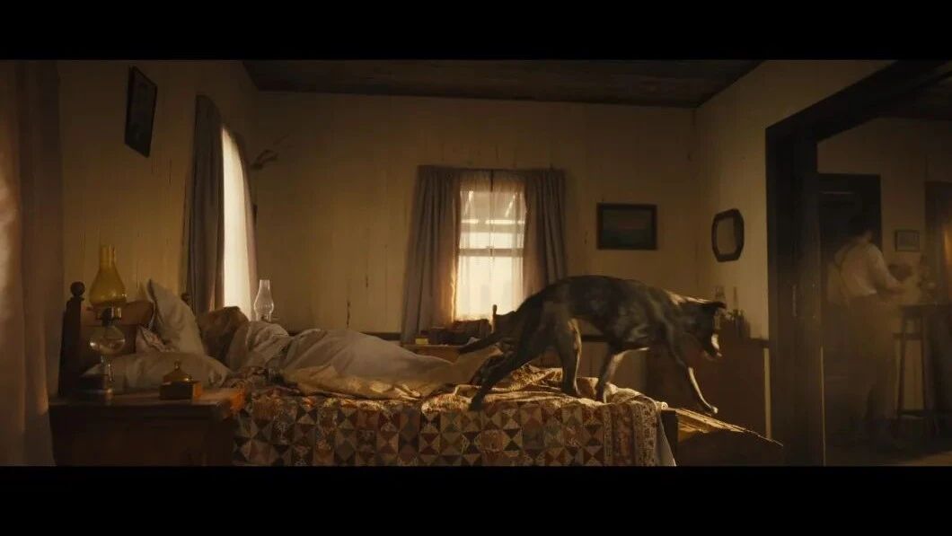 点击下方直接观看↓⭐看点满满，十月国际火爆新片大合集！-7