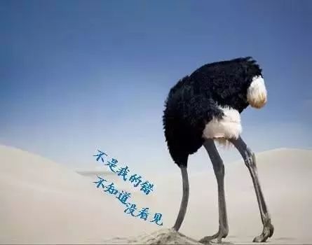 【故事】鸵鸟政策