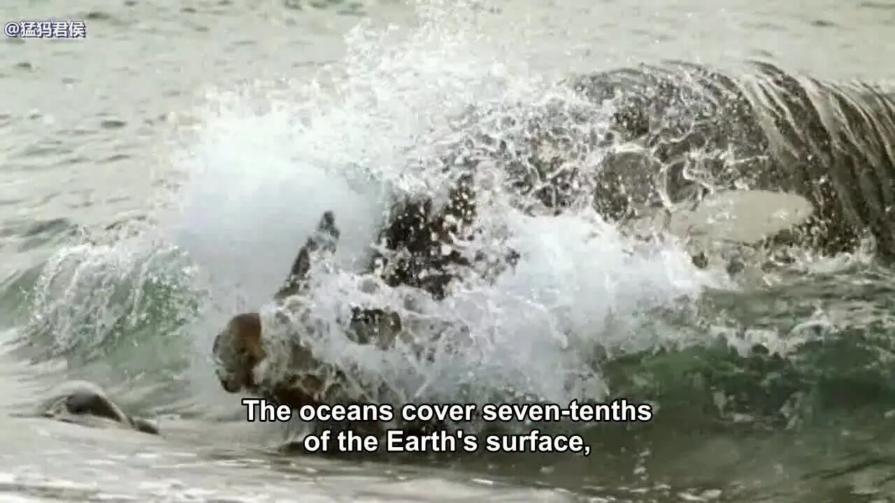 点“阅读原文”看更多纪录片⭐BBC纪录片《电视音乐之声》-3