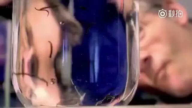 点“阅读原文”看更多纪录片⭐​​​纪录片《与虫共存》胆小勿入！