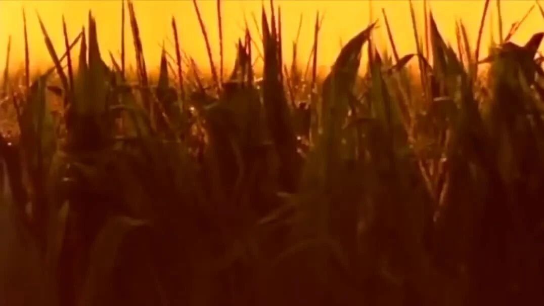 BBC经典纪录片《冥想的力量》