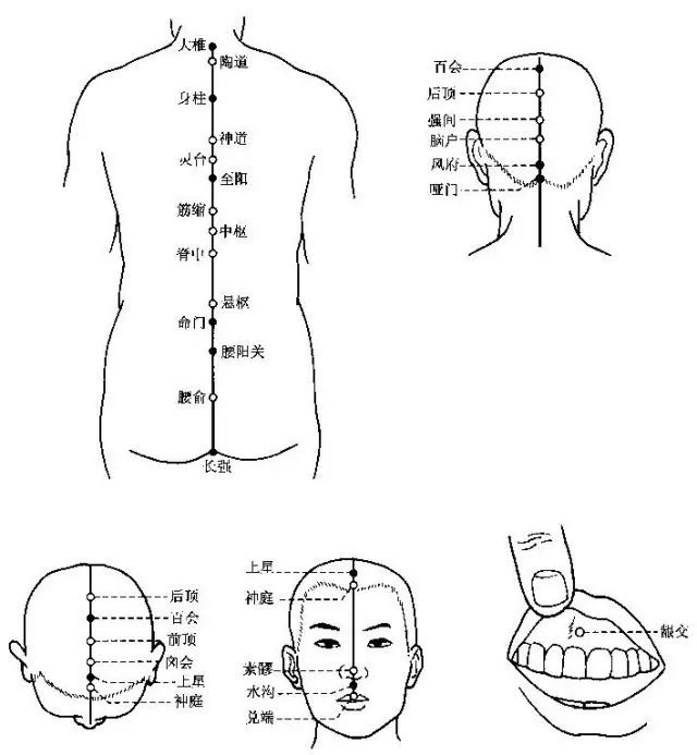 督脉腧穴
