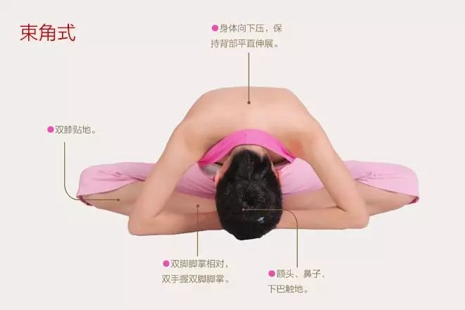 调节女性的月经不调,保养卵巢.
