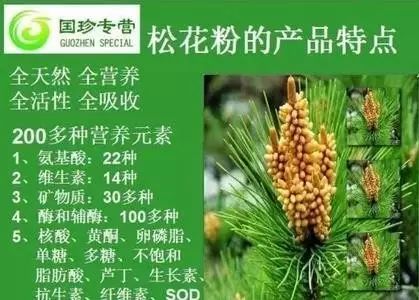 当前位置:新时代 新时代新闻 烫后 1,纯天然 松花粉是生长在海拔