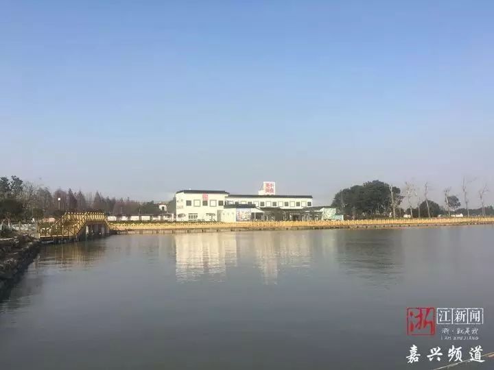 嘉兴市"温暖中国"网络媒体新春走基层第二站来到了嘉兴市秀洲区油车港