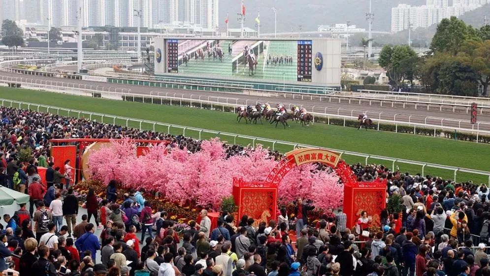 香港农历新年赛马
