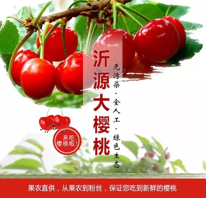 爱心助力,免费试吃 |城里人吃不到的沂源大樱桃熟了,每动手一次,果农