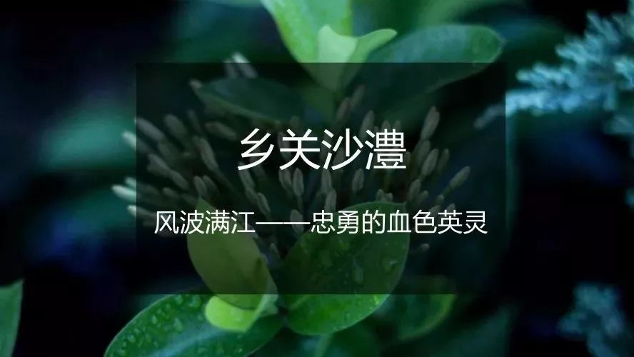 【乡关沙澧·五】风波满江——忠勇的血色英灵(上)