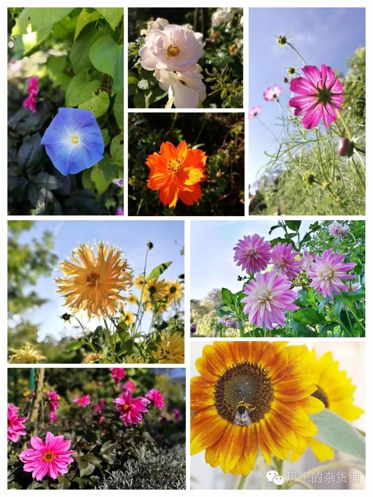 意法自由行全攻略|DAY2-DAY4 慢游巴黎