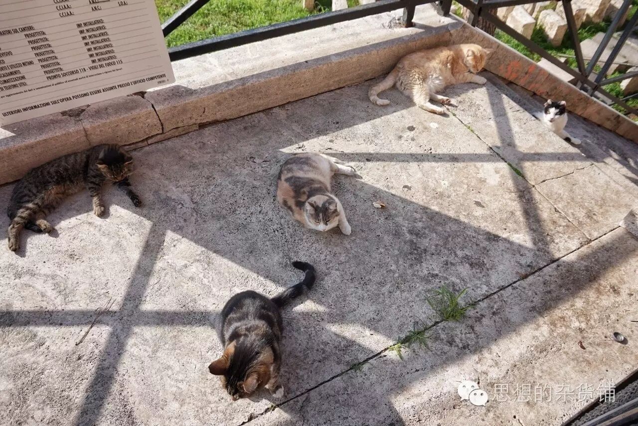 意法自由行全攻略|DAY13-DAY14 罗马&梵蒂冈的告别