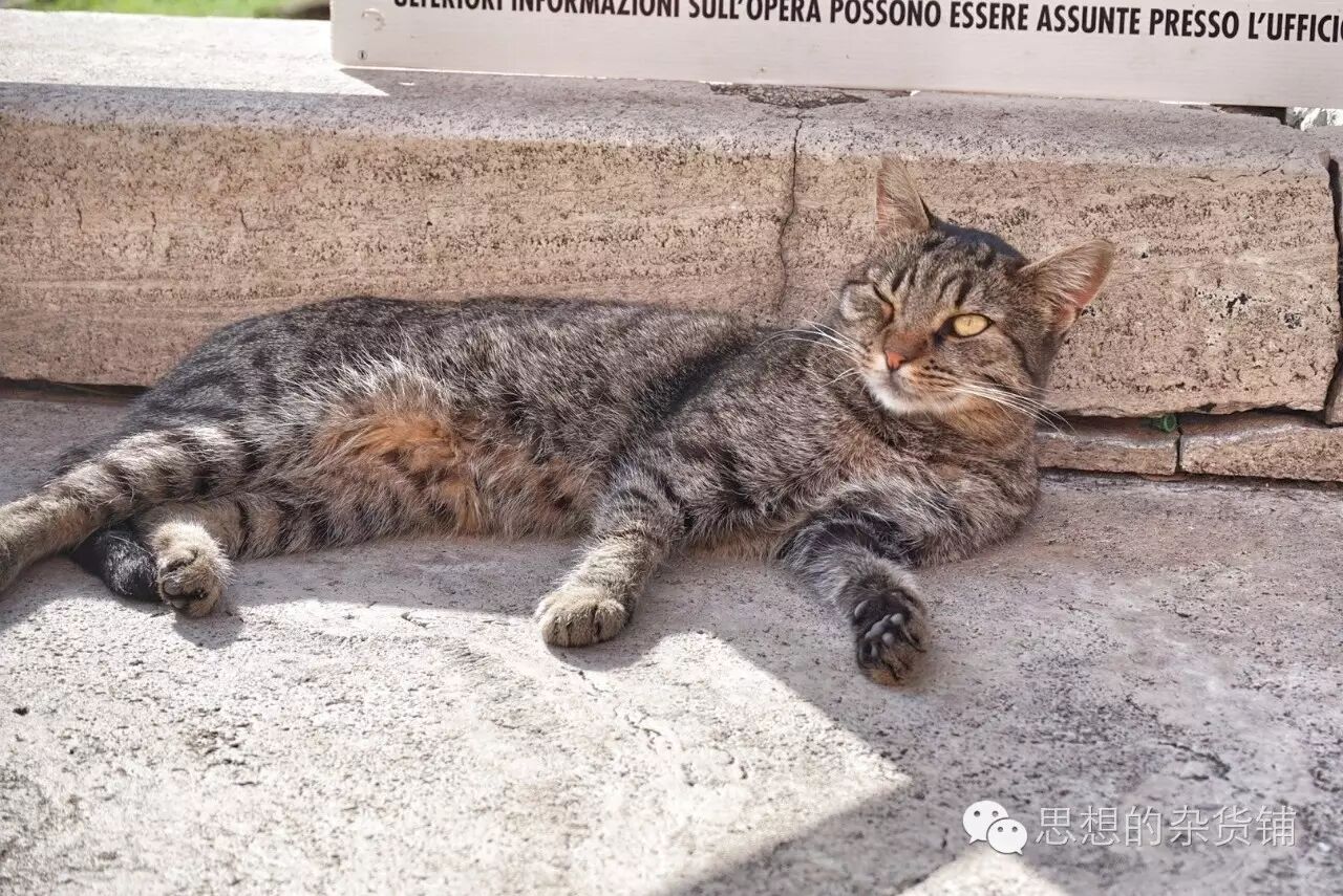 意法自由行全攻略|DAY13-DAY14 罗马&梵蒂冈的告别