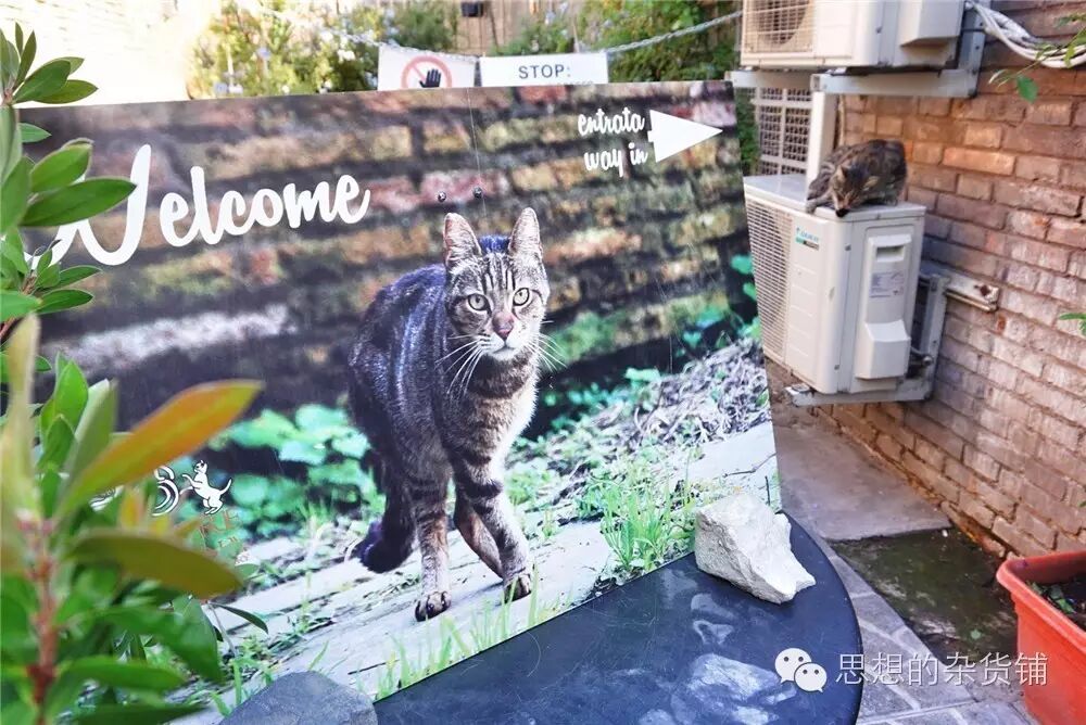 意法自由行全攻略|DAY13-DAY14 罗马&梵蒂冈的告别