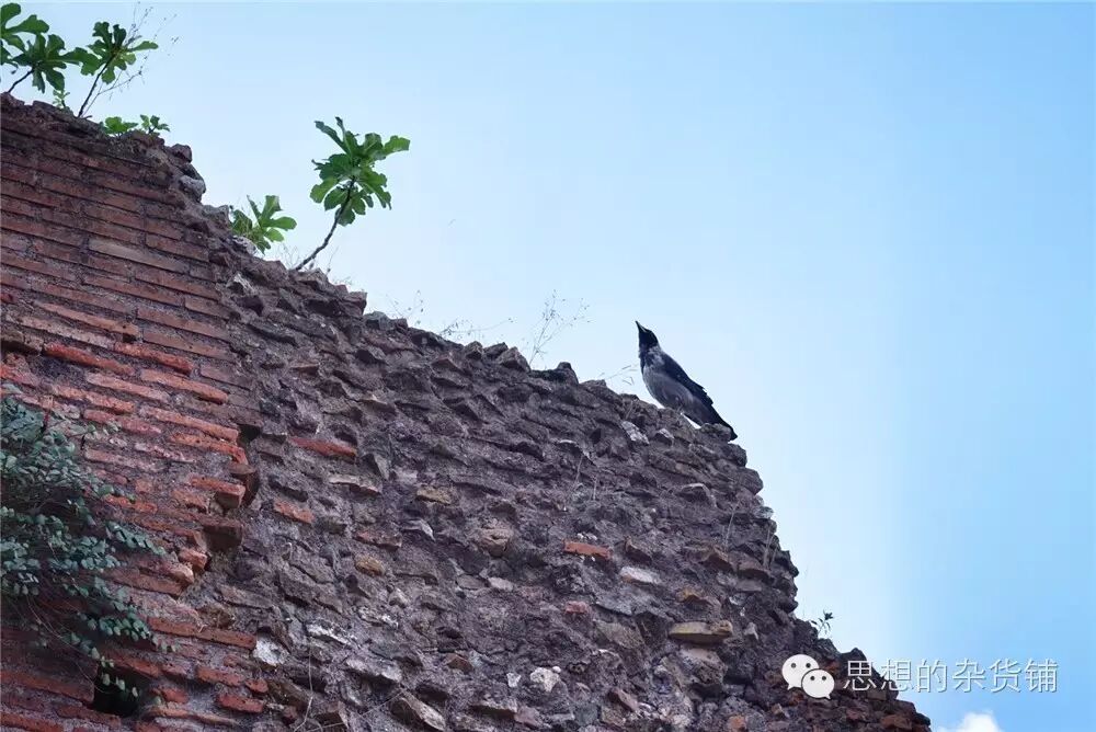 意法自由行全攻略|DAY13-DAY14 罗马&梵蒂冈的告别