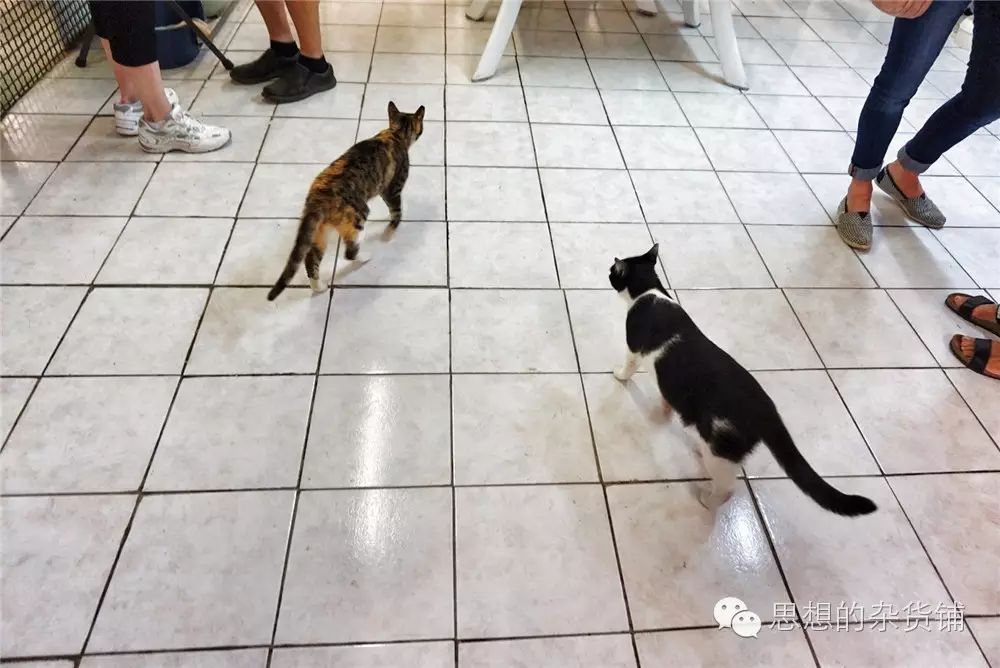 意法自由行全攻略|DAY13-DAY14 罗马&梵蒂冈的告别