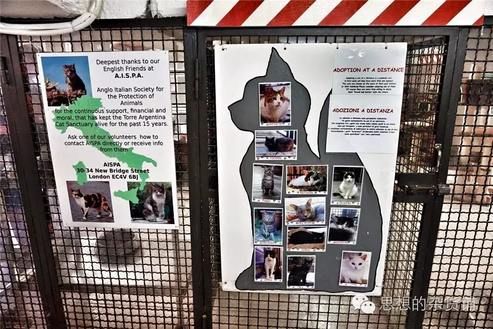 意法自由行全攻略|DAY13-DAY14 罗马&梵蒂冈的告别