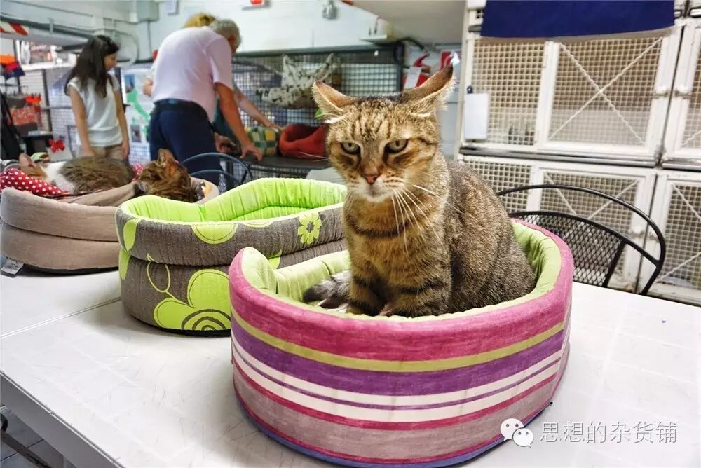 意法自由行全攻略|DAY13-DAY14 罗马&梵蒂冈的告别