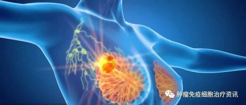 乳腺癌会遗传吗?建议这五大人群做BRCA基因检测!