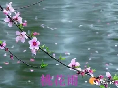 20170513163425_r0xfjsqugb.png?v=1762064345578