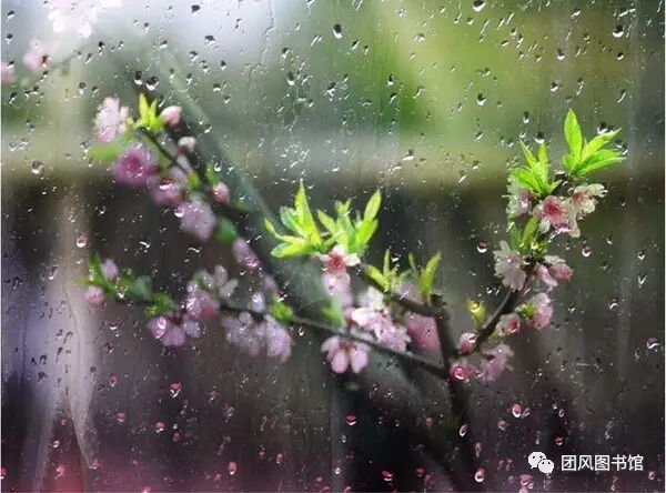 20170513163425_irc1hvw38x.png?v=1762064345578