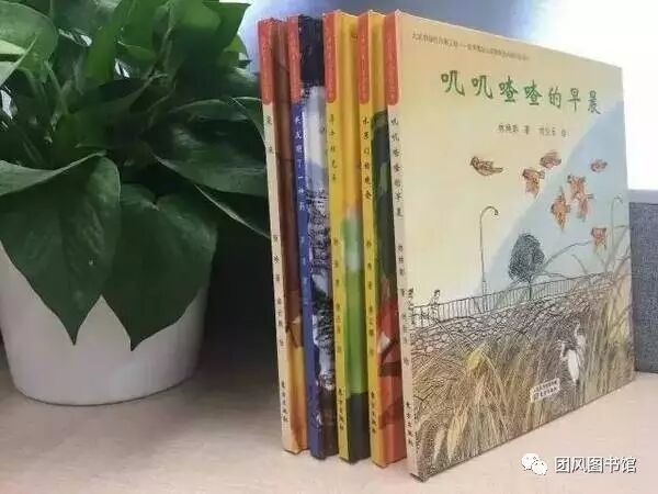 20170513161903_dkhnpye4fy.png?v=1761996438351