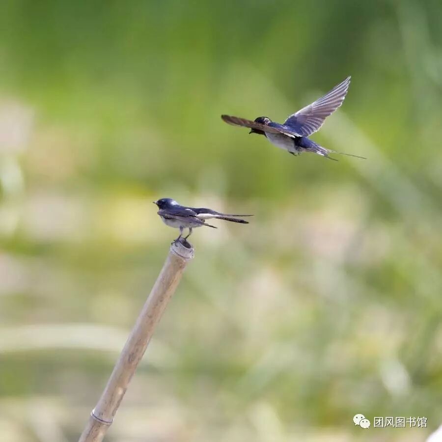 20170519165611_s689yiqh2e.png?v=1762064526975