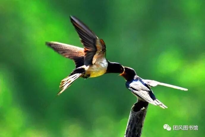 20170519165611_oeg3fd64l2.png?v=1762064526975