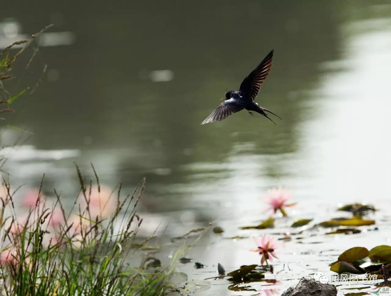 20170519165611_tt1hcnu6l8.png?v=1762064526975