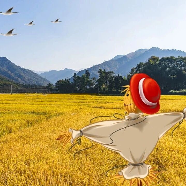 这写的……不就是我吗！