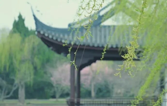 学会相处之道,才能达到理想生活